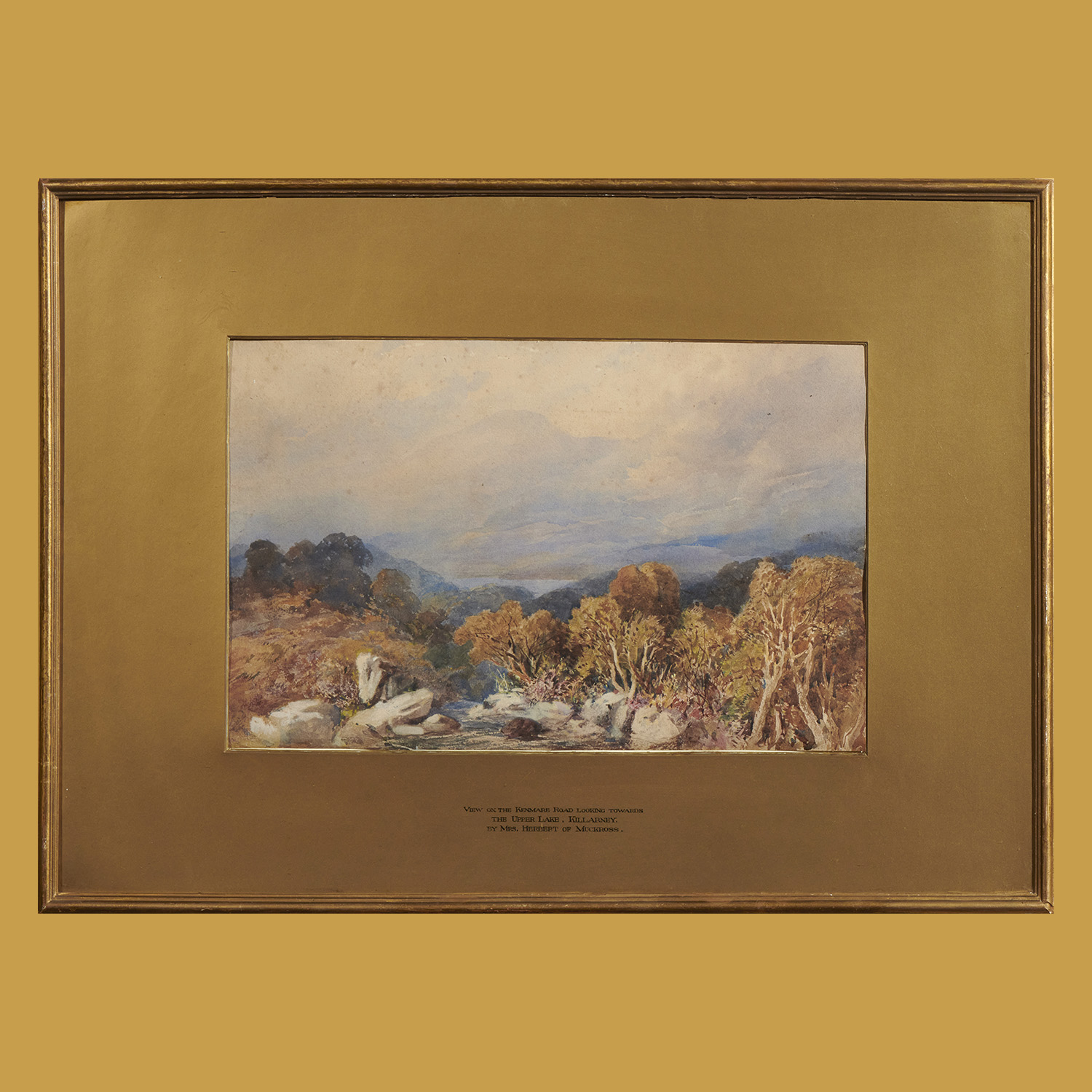 ‘View on the Kenmare Road Looking Towards the Upper Lake.’
