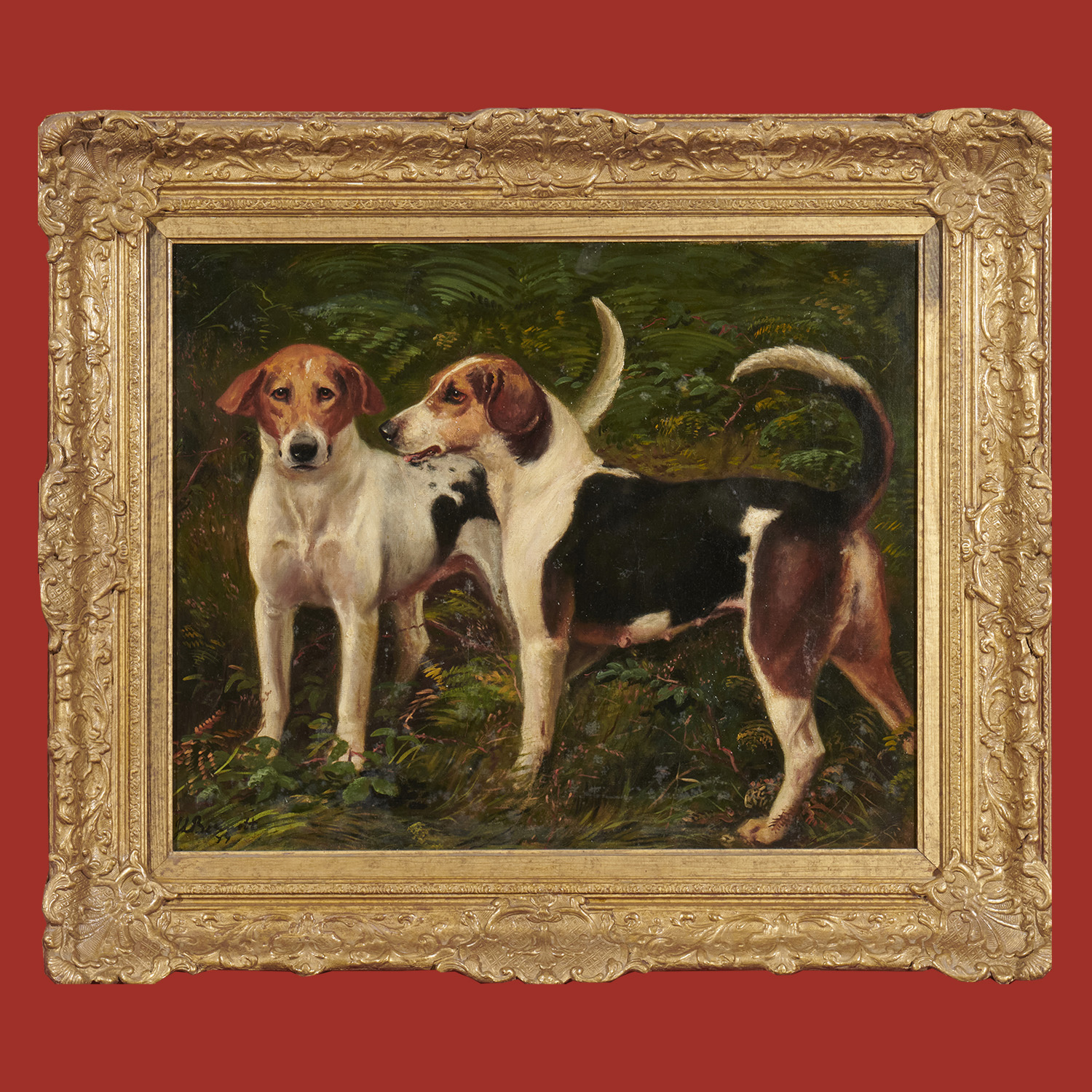 Animal Portraits.