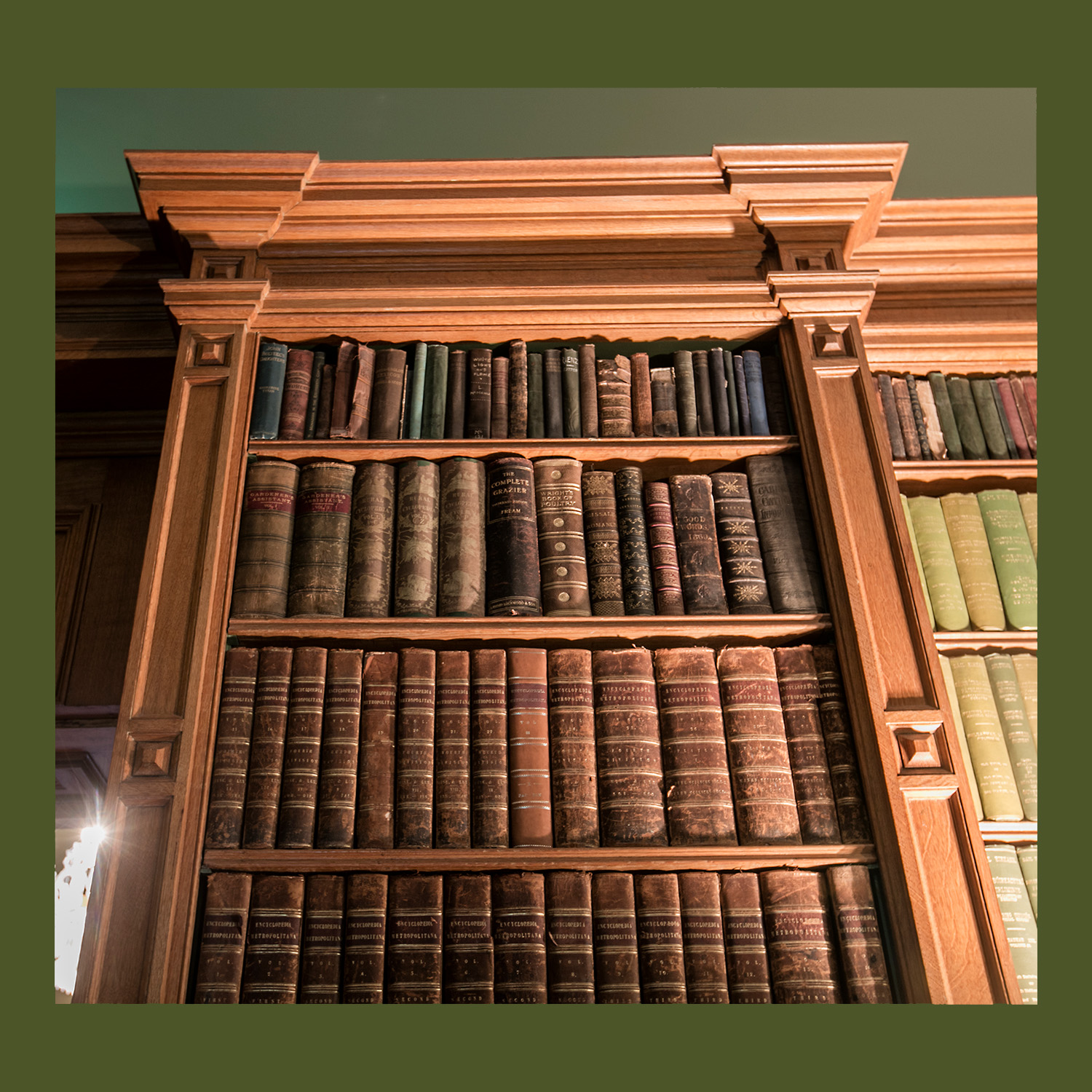 Oak Bookshelves.