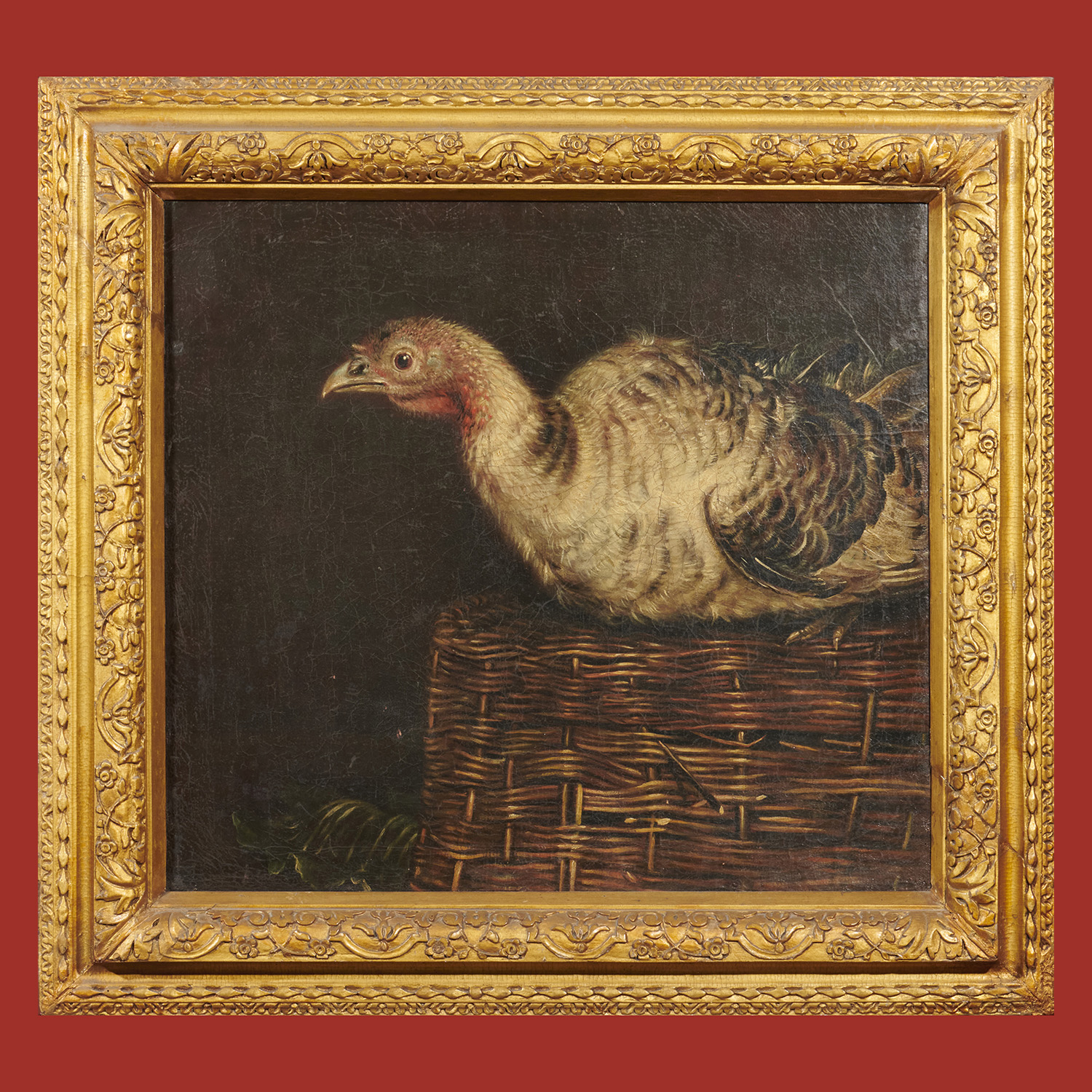 Animal Portrait.