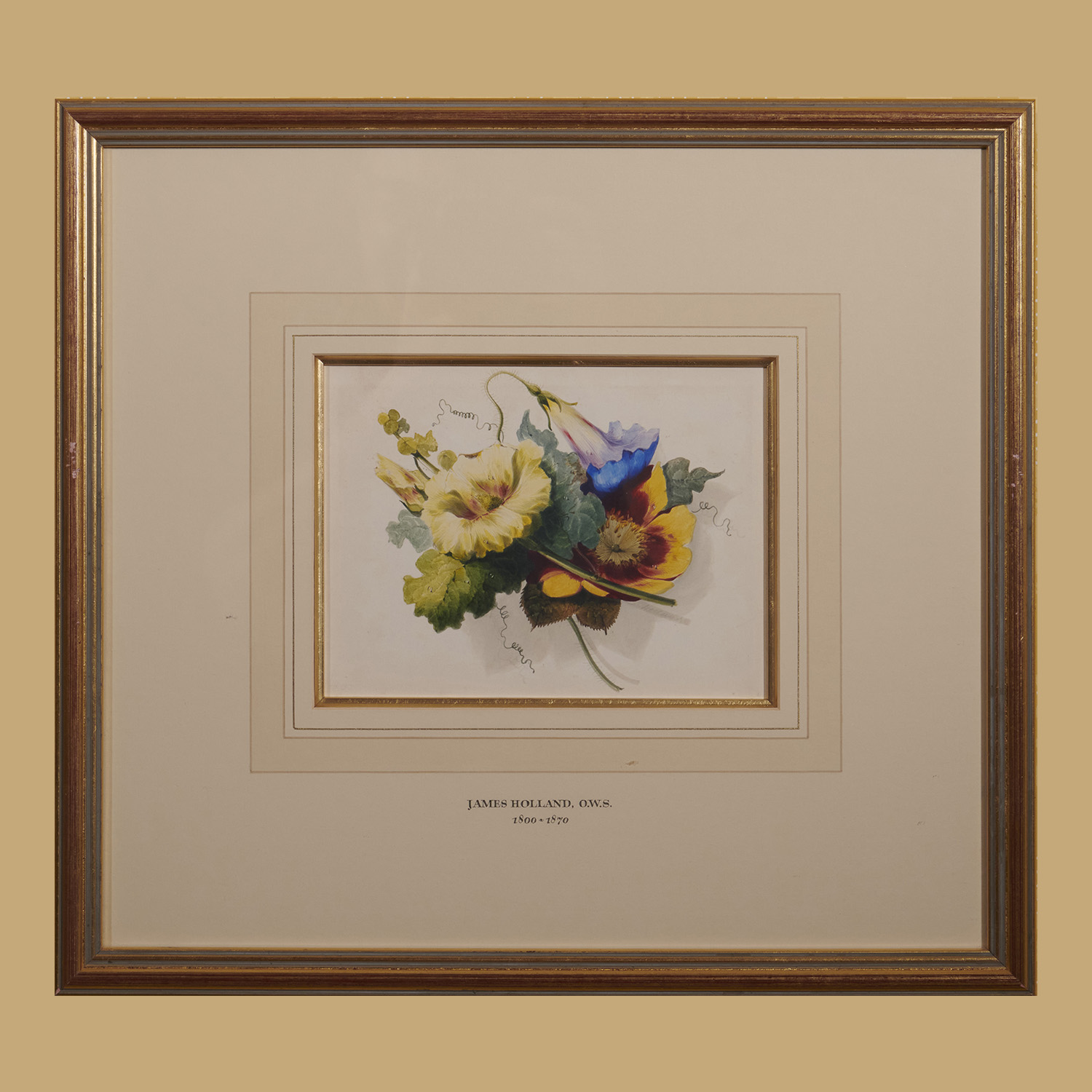 Floral Study 2